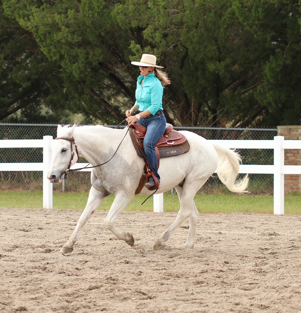Reining Style: loose rein, using topline, while maintaining focus on rider; note ears of horse in this image