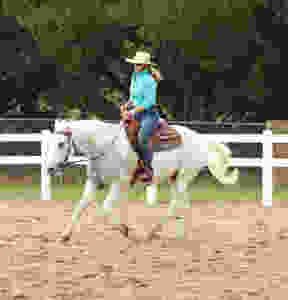 Reining Style: loose rein, using topline, while maintaining focus on rider; note ears of horse in this image