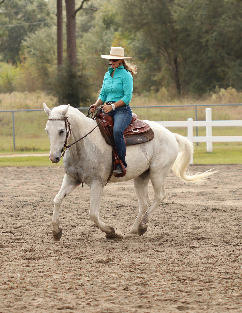 Dressage Style: collected rein, upright posture, requires horse to focus intently on rider's positoin and movemets