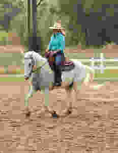 Dressage Style: collected rein, upright posture, requires horse to focus intently on rider's positoin and movemets