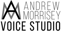 AMVoiceStudio Black.png