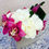 Thumbnail: Roses, Orchids and Veronicas