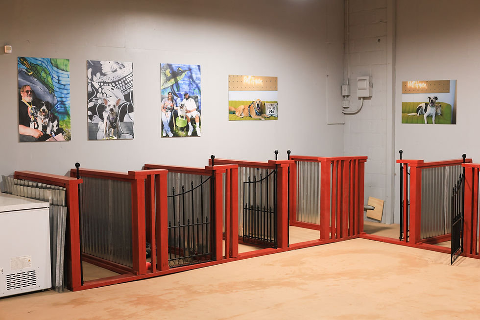 Small Dog Area