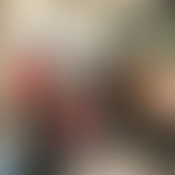 Building Community Together: Bellwether Housing’s New Volunteer Program