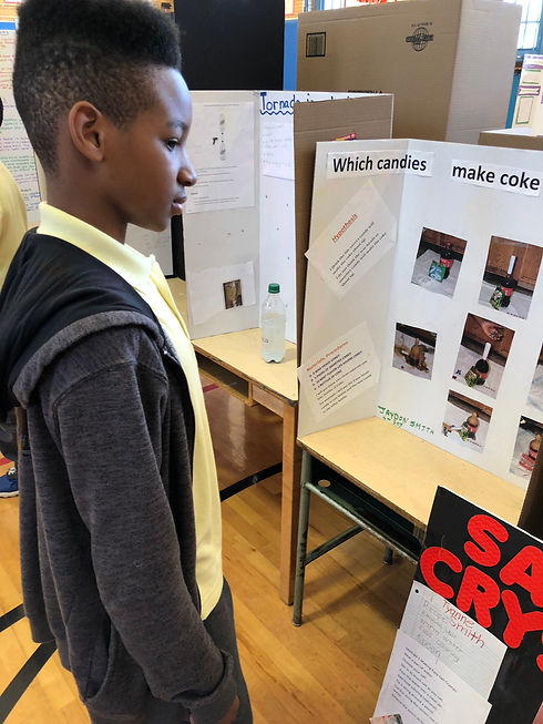 Student looking at a Science Fair Project.
