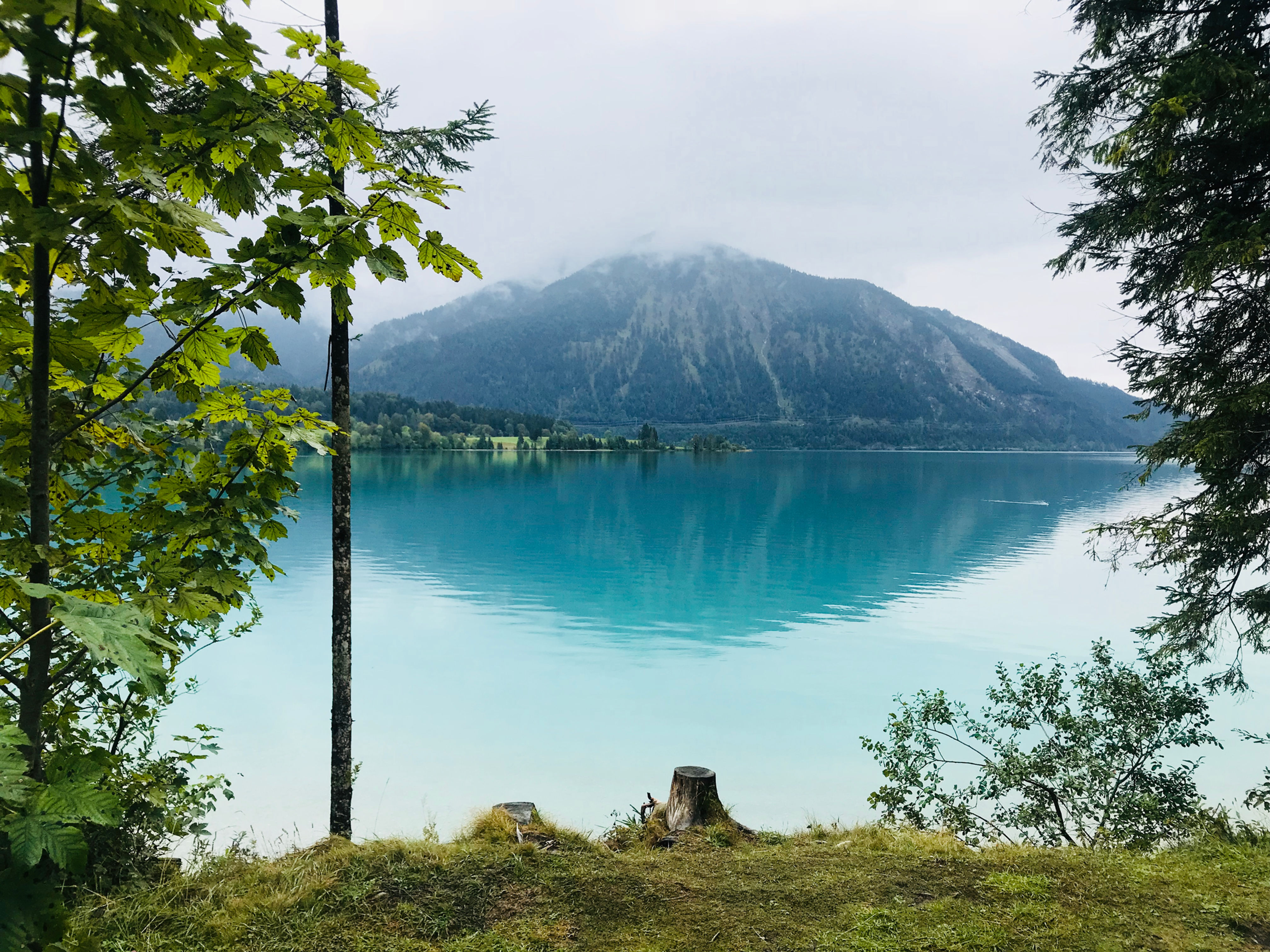 Guided Meditation ✨ Clean your energy field ✨