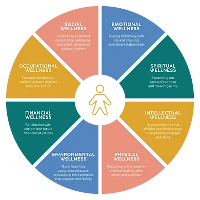 WellnessWheel2 (1).webp