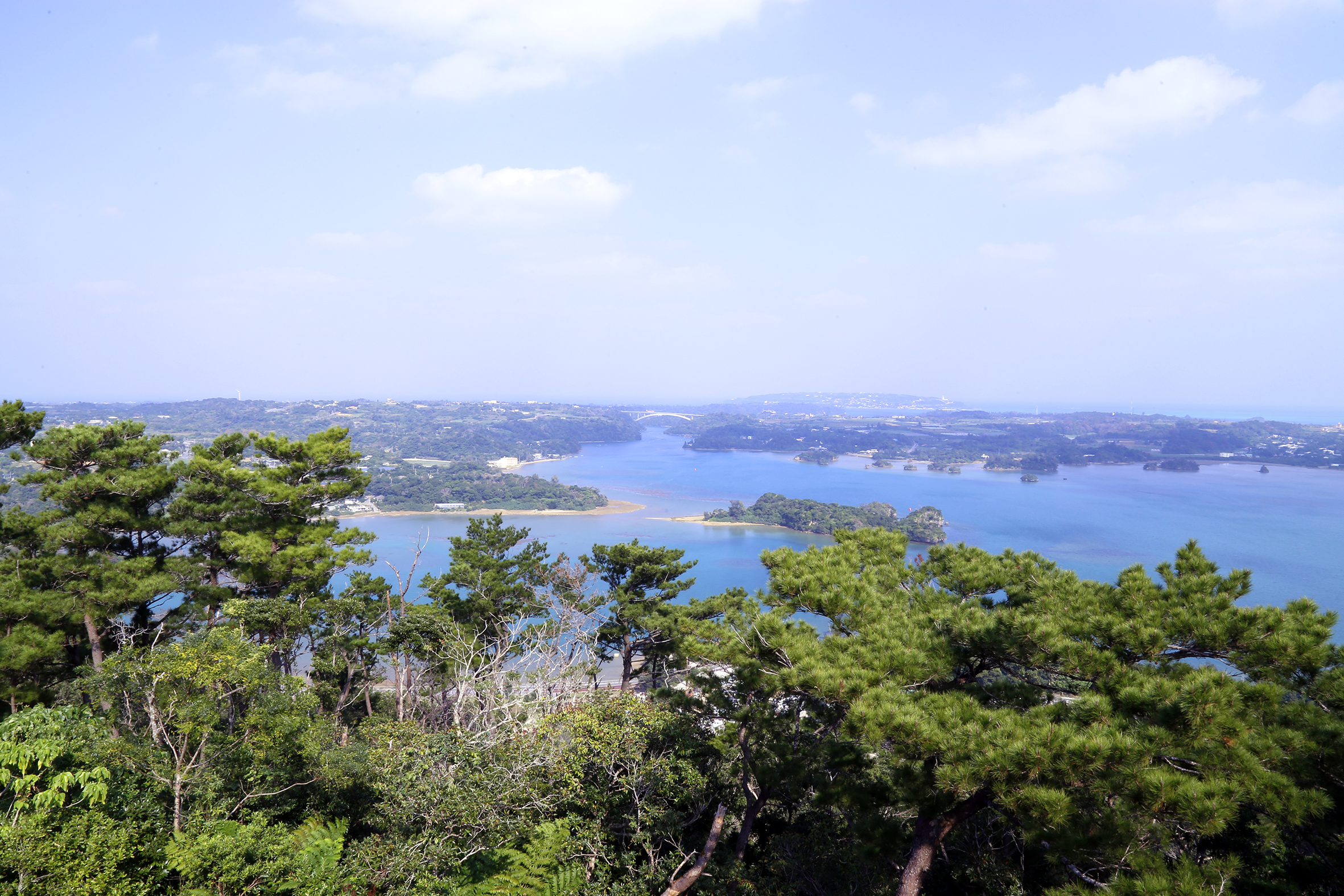 嵐山展望台より