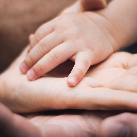 Tutore e Amministratore di Sostegno: Guida Pratica e Orientamenti dalla Cassazione
