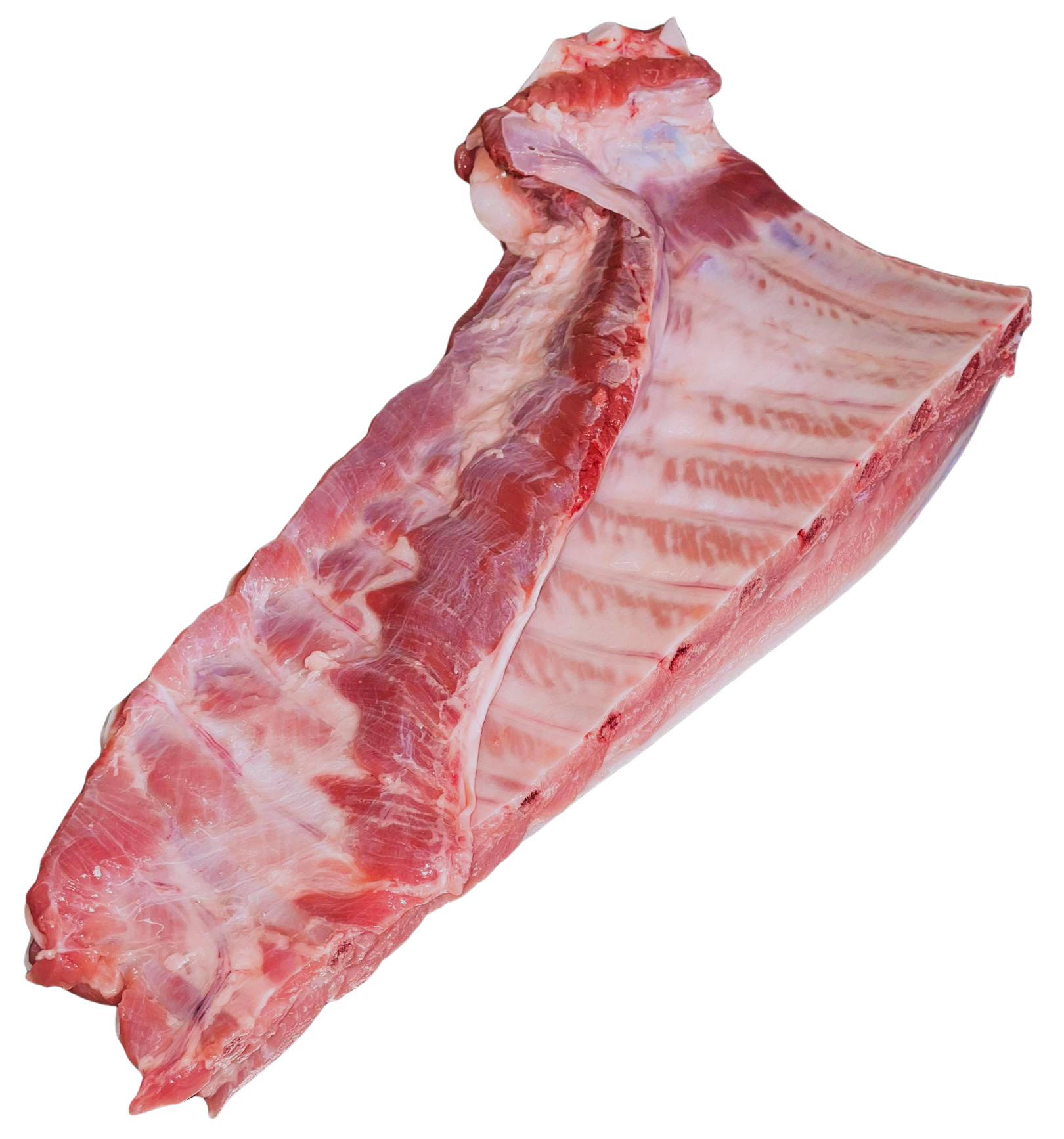 Raw pork spare ribs cut