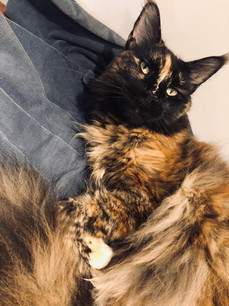 Athena