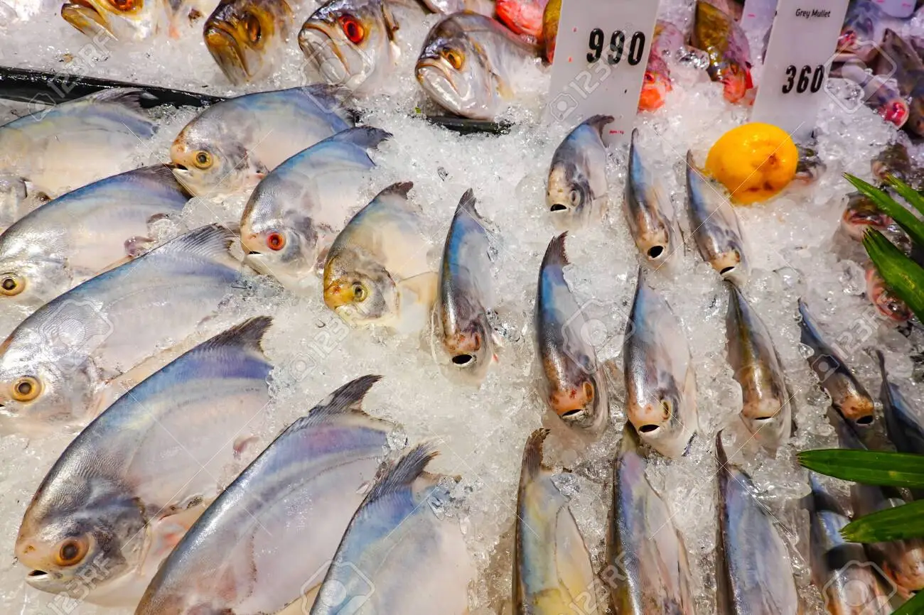 130325764-fresh-fish-with-ice-in-seafood-department-in-supermarket-store-.webp