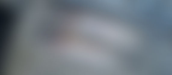 George Mackintosh's photo of his 2 best trout for 8.5 lbs.