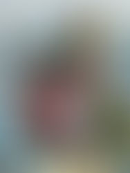 3 Practices My SPED Son Intuitively Does That You Can Do Too