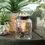 Thumbnail: Mason Jar Edison Bulb Illumination Warmer