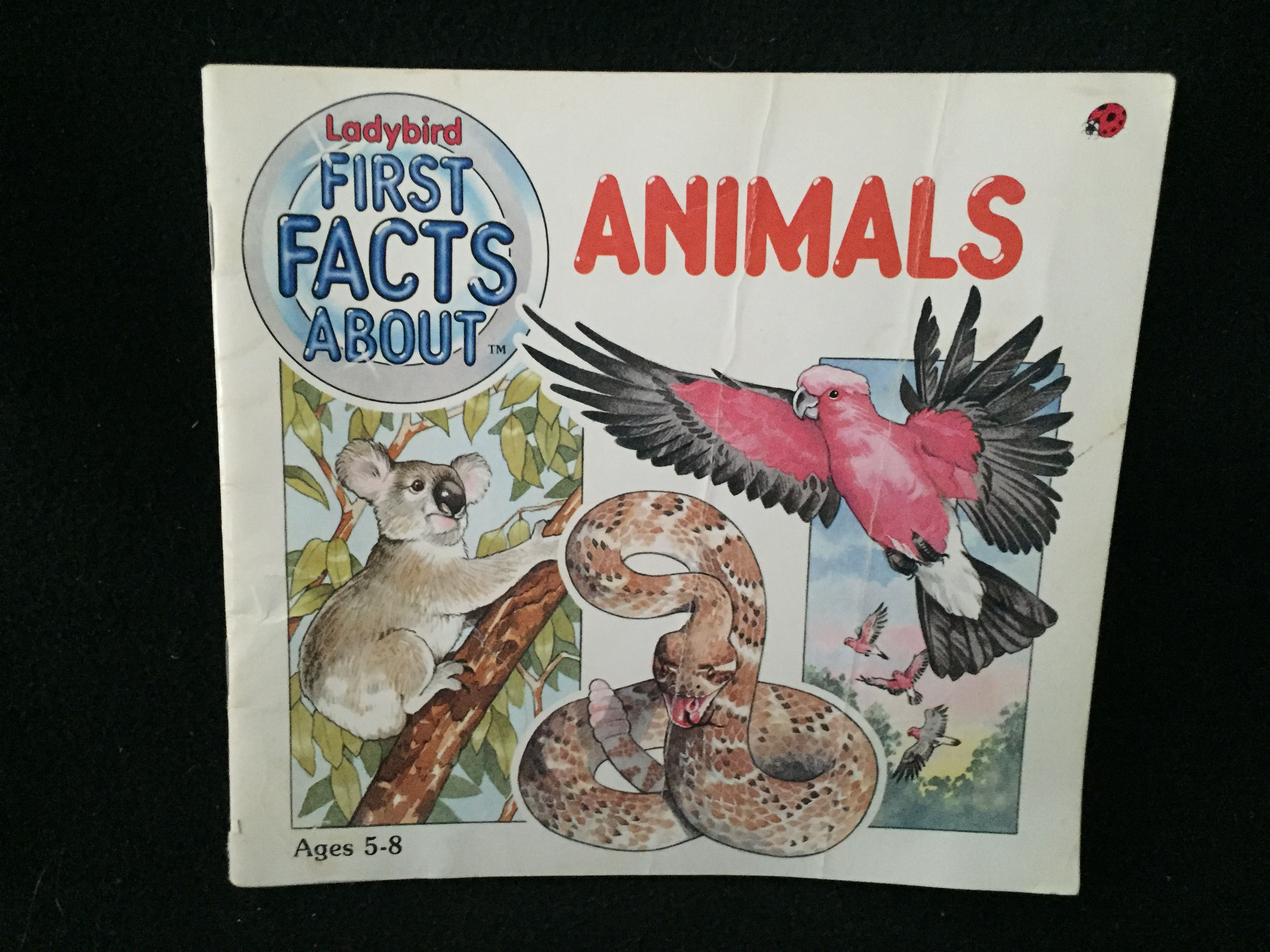 Animals (First Facts About...) Paperback