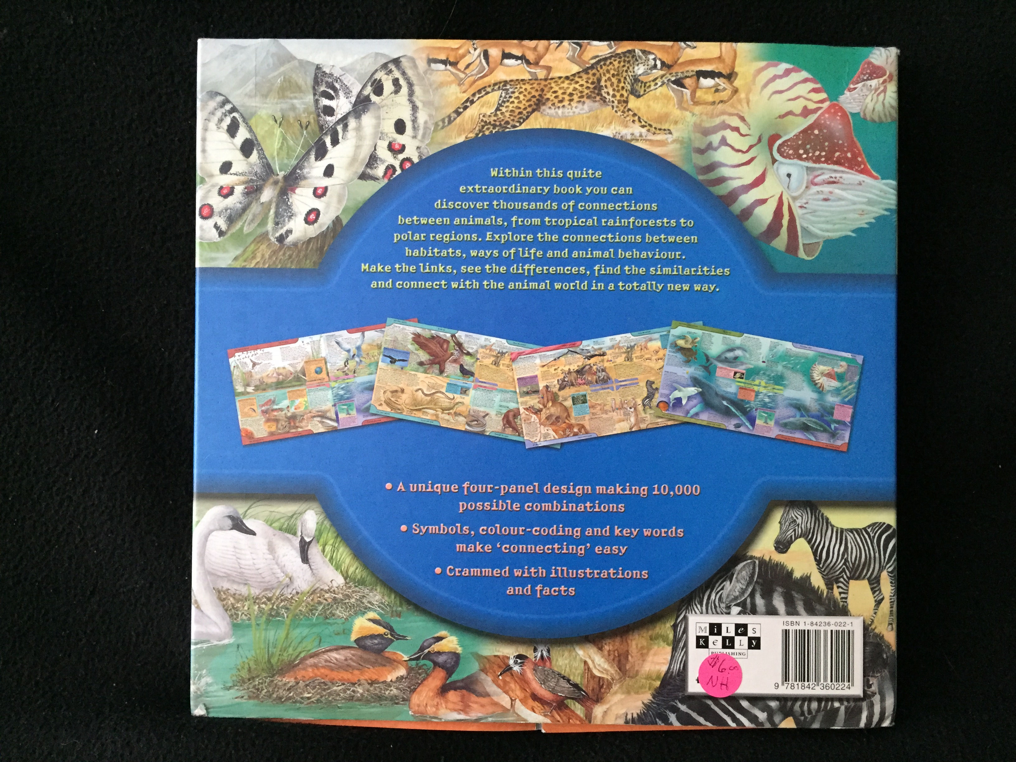 Animal Connexions - Science Studies book