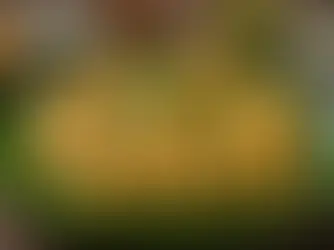 Unveiling the Hidden Art of Crafting the Perfect Masala Rawa Idly: A Culinary Journey into Exotic Flavors