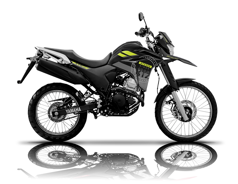 Miniatura: KIT GRÁFICO CLASIC STYLE  XTZ 250