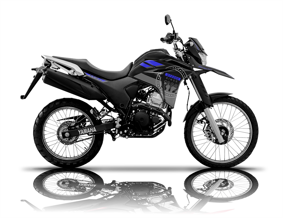 Miniatura: KIT GRÁFICO CLASIC STYLE  XTZ 250