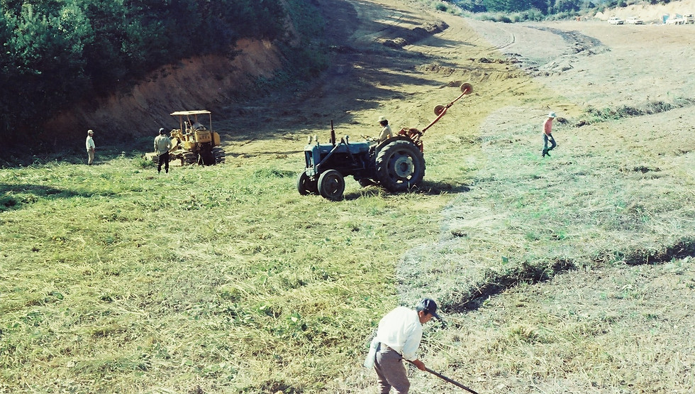 FH040004.JPG
