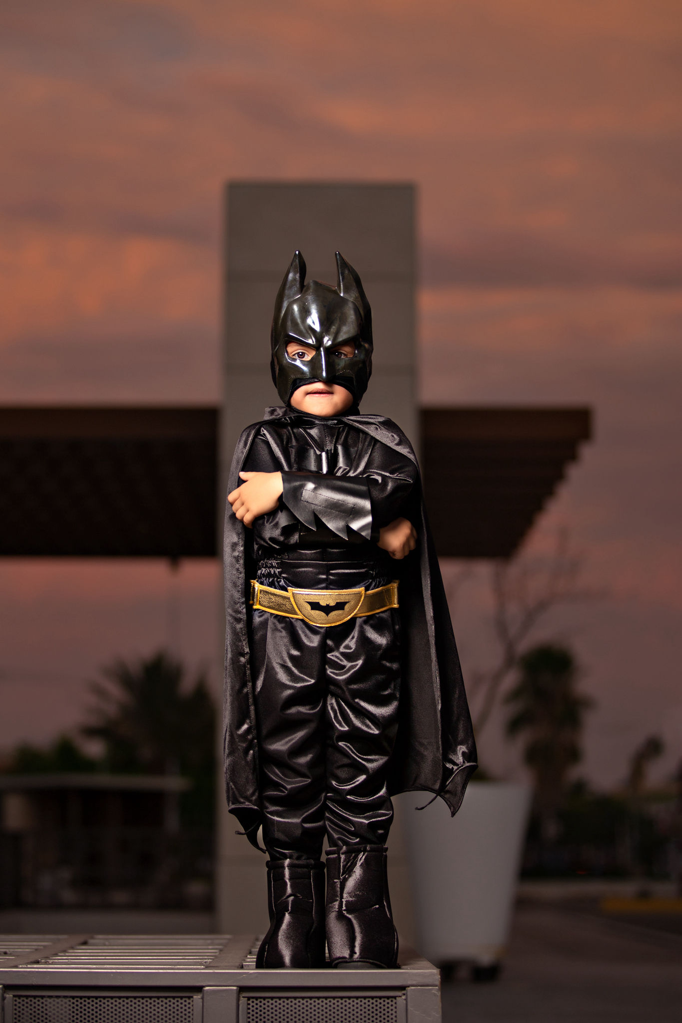 Batman Musculos Negro T2
