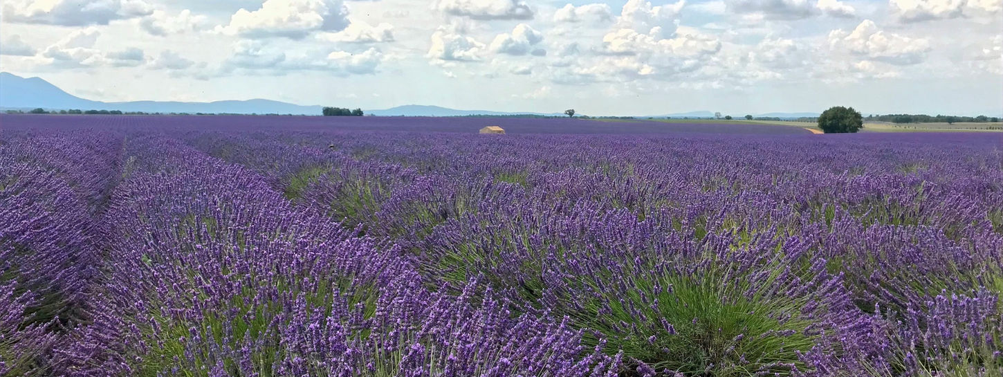 séjour week end en Provence au pays des lavandes