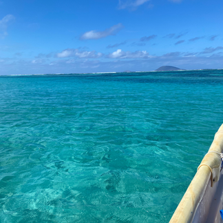 ile plate ile maurice