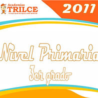 Libros del colegio Trilce 2011 nivel primaria todas las áreas