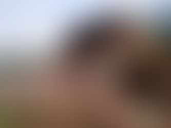 海南集中展示销毁一批假冒伪劣商品