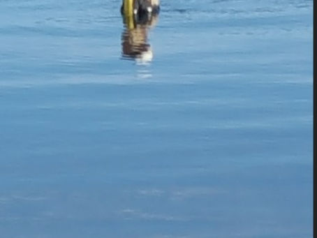 Lake Beulah 11/24