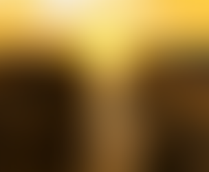 An Increasingly Glorious Life | 2019