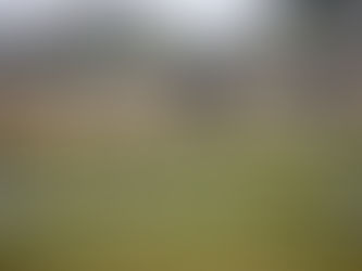 Tag im Okavango Teil 2