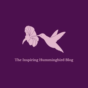 Quick little update on where I have been and what I have been up to!