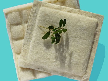 Woola, eco-friendly bubble-wrap made from sheep's wool.