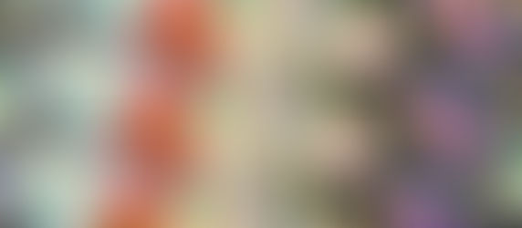 Nikki's Most Anticipated Books of 2020