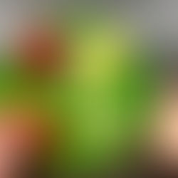 Mom Blog: How To Get Timmy To Eat A Damn Vegetable