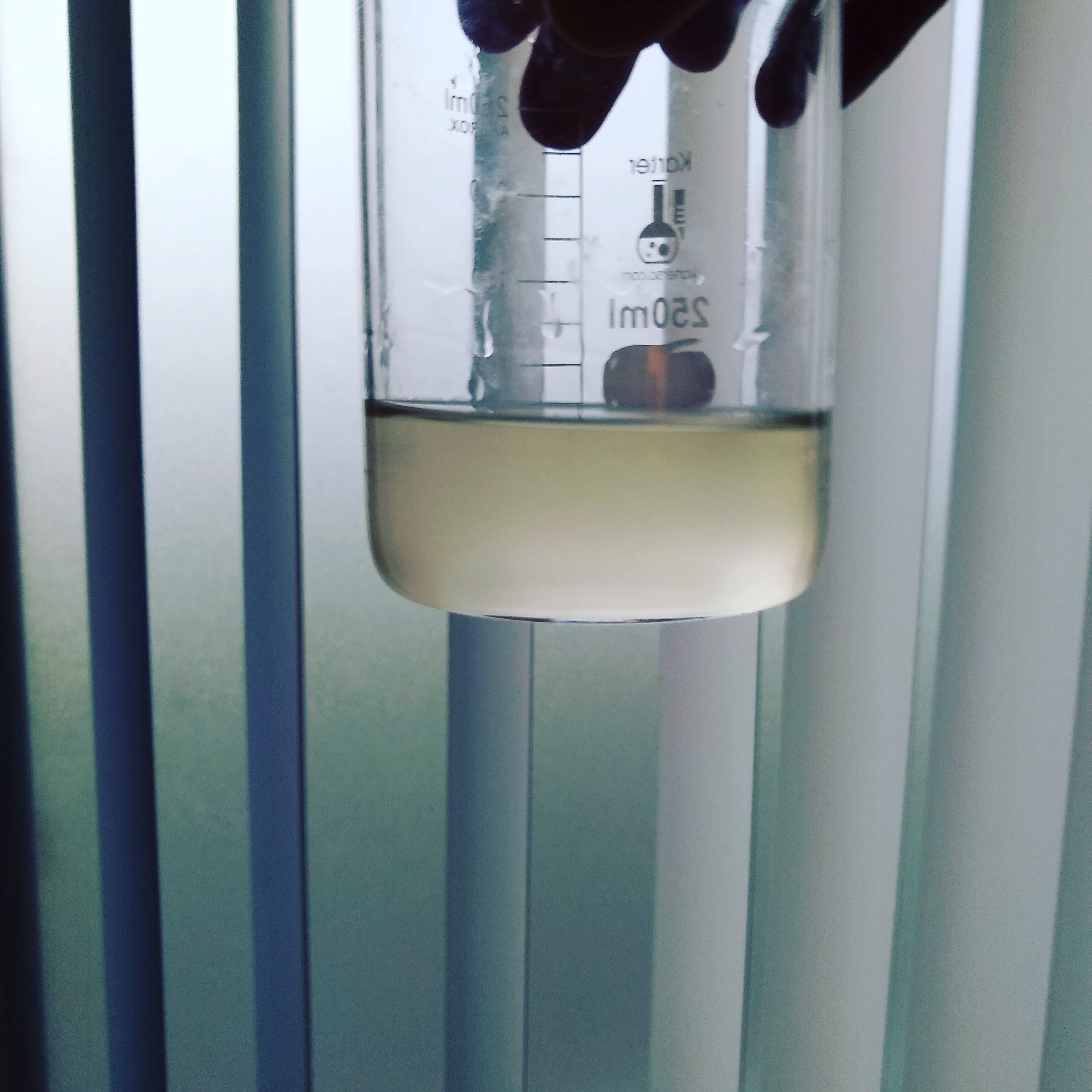 July/August 2019 Cleared Sake taste test. content media