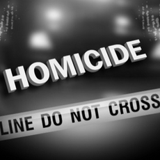 Winnipeg's 40th Homicide