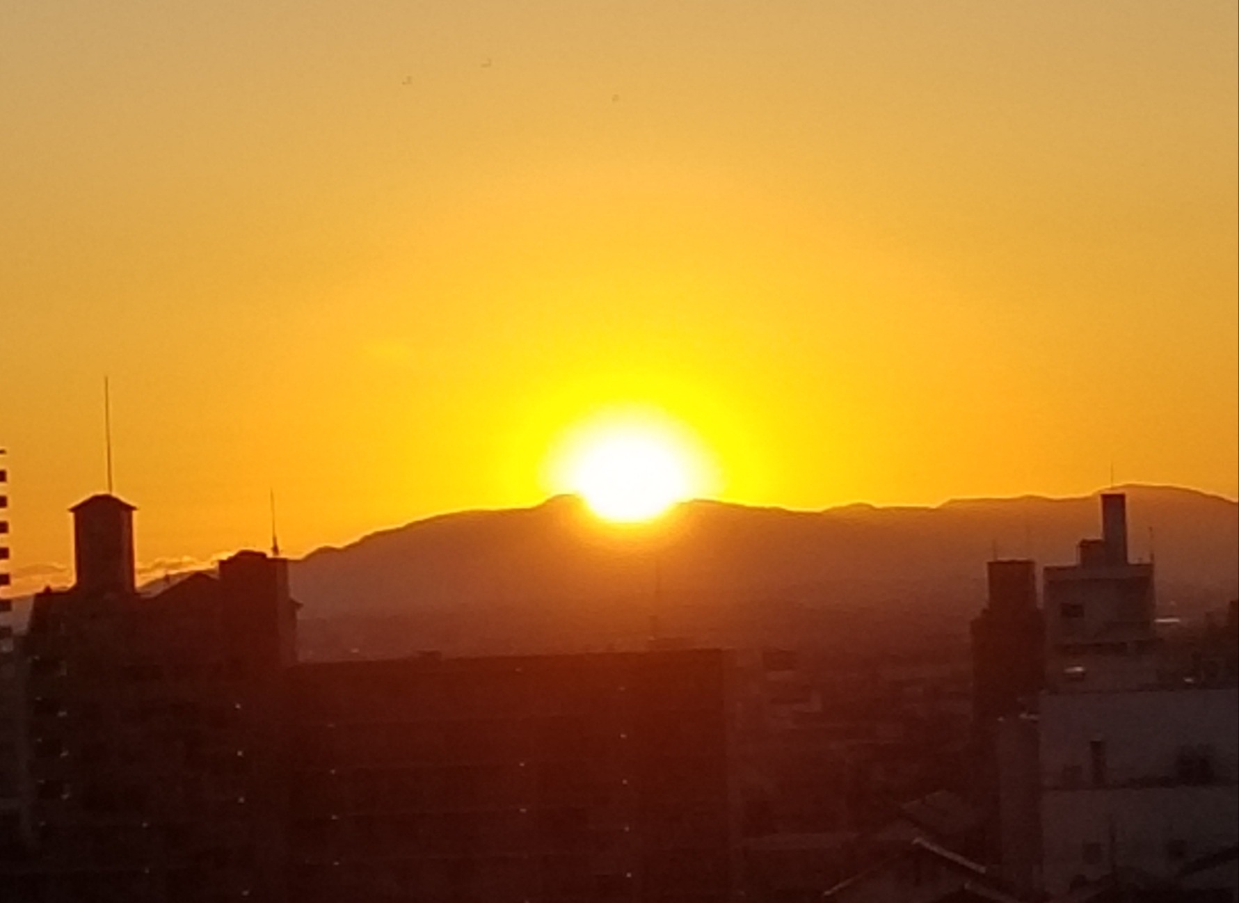 明けましておめでとうございます🎍 content media