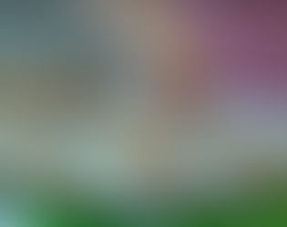 Alfajores rellenos de guayaba y coco