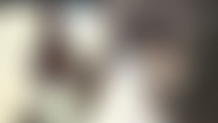 Horse & Plow Cider with Hops & Honey