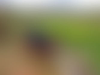 Resaltan interés del Gobierno por priorizar remediación de pasivos ambientales
