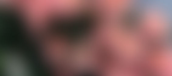 Pflege, Geduld und ein wenig wärmende Sonne – das ist alles worauf ihr hoffen könnt...