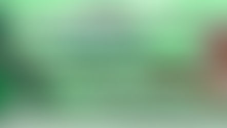 DÍA INTERNACIONAL DEL SÍNDROME DE WOLF-HIRSCHHORN (WHS).