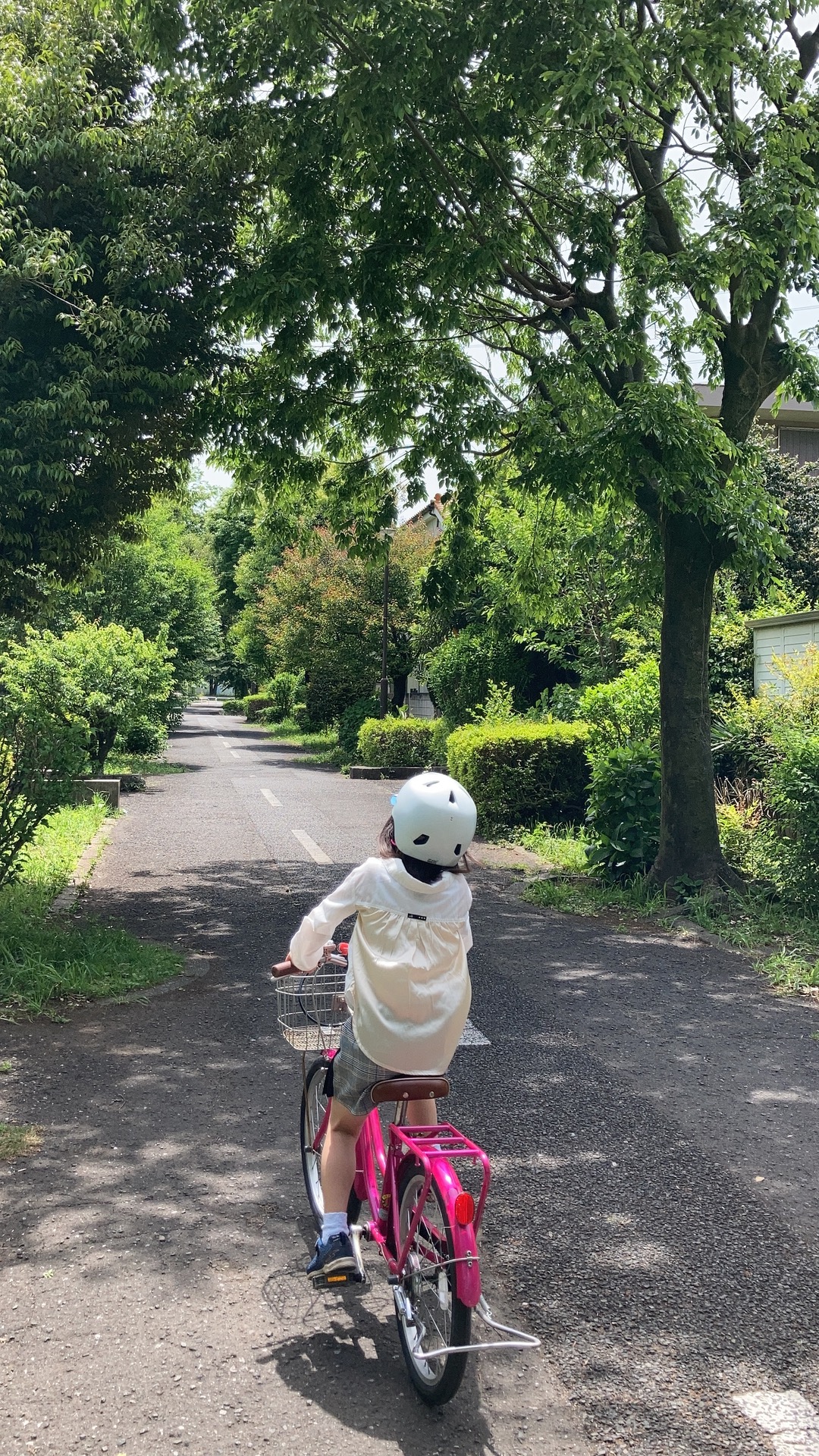 東久留米の大好きな道 content media