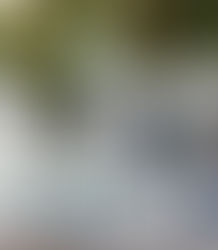 TOP 6 MICRO FUNDAMENTALS FOR SELECTING A PROPERTY