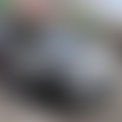 ポ、ポ、ポルテ!!!