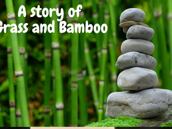 A story of grass and bamboo