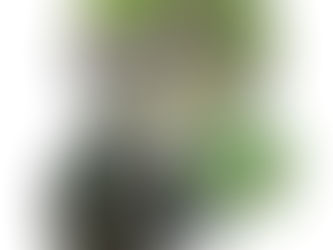 かるがもの親子